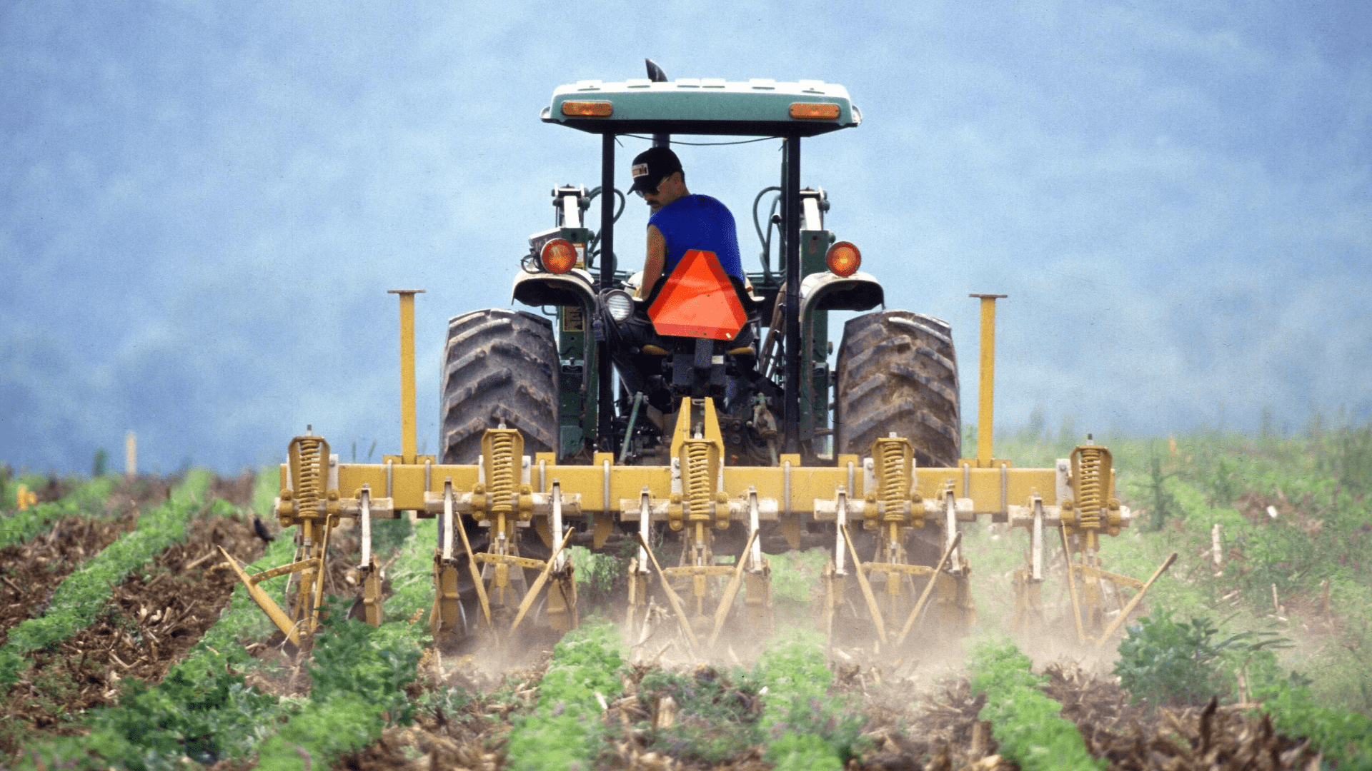 imprenditore agricolo professionale finasser